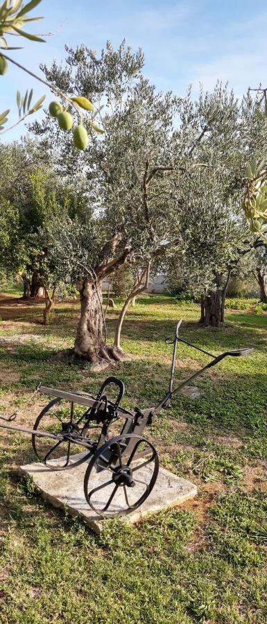 Villa Spanja Vodice Luaran gambar