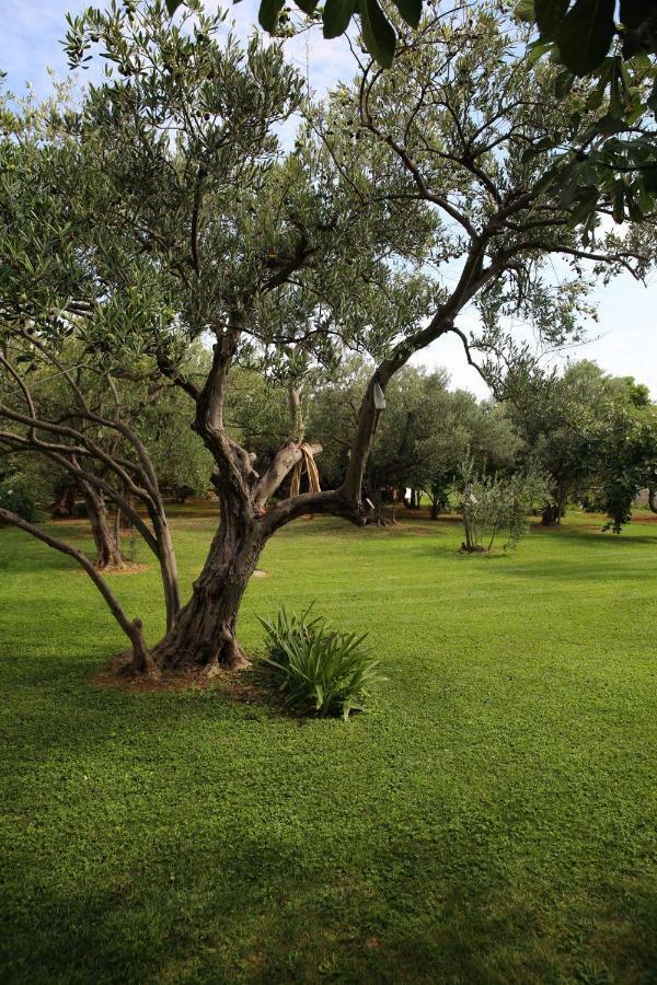 Villa Spanja Vodice Luaran gambar