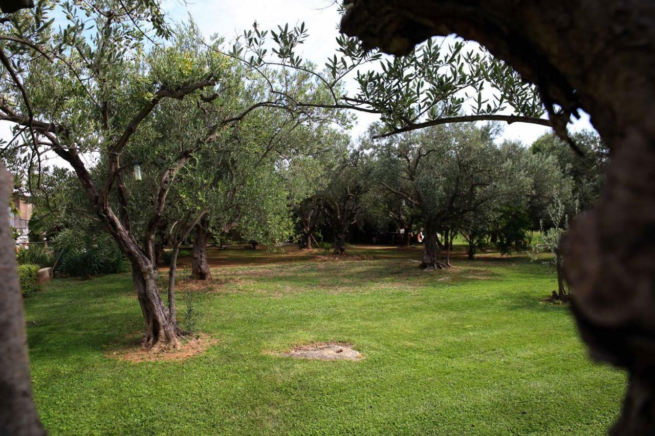 Villa Spanja Vodice Luaran gambar